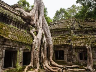 Billig Rejsedestination Cambodia - Cambodja-Angkor-Wat-Krong-Siem-Reap-Buddhistiske-Tempel-Ruiner