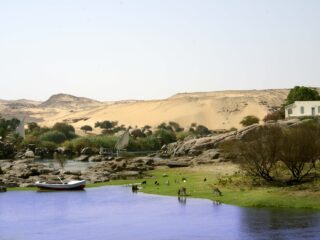 Billig Rejsedestination Egypten - Egypten-rejse-krydstogt-ved-Nilen