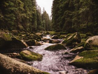 Billig Rejsedestination Rejsedestinationer - Tjekkiet-national-park-natur-og-floder